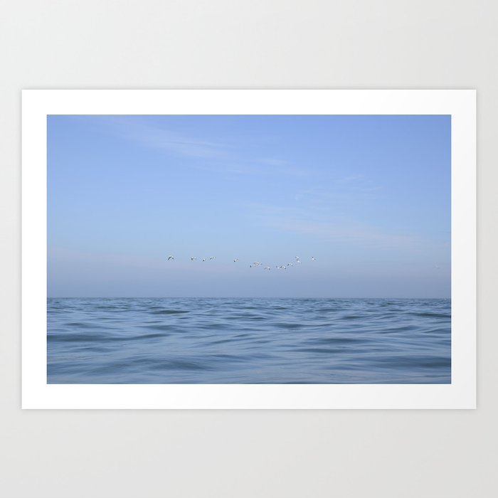 Minimalist seascape art print - waves and flying gannets off the coast of Maine - travel photography Art Print