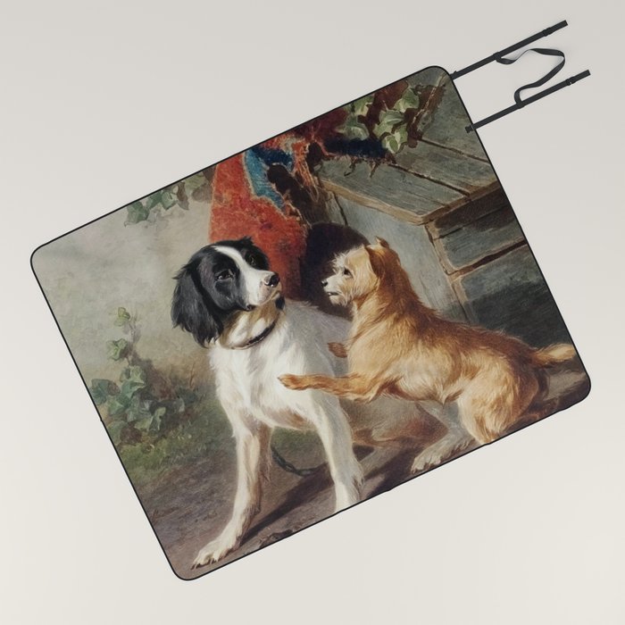 Dog hotsell outdoor blanket