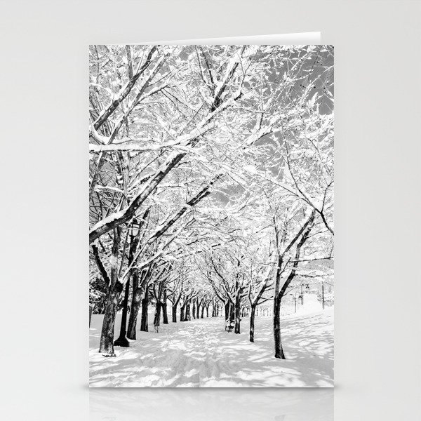 Light Through Snow Covered Trees, B&W Stationery Cards