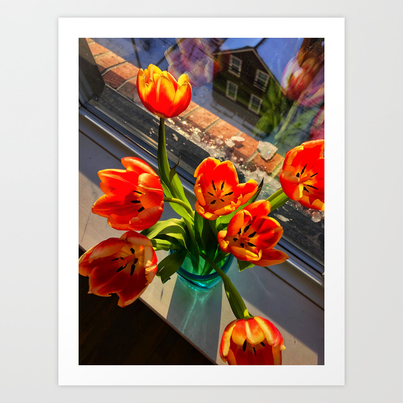 Winter Flowers In Portland Maine Art Print By Amysturg Society6