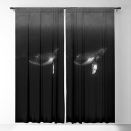 Magnificent Humpback Whale in B&W Blackout Curtain