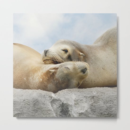 'Rock Buddies' Metal Print