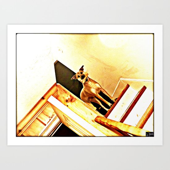 Vertigo Dog Art Print