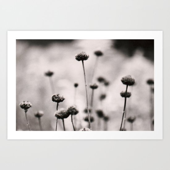 3, 2, 1 Art Print
