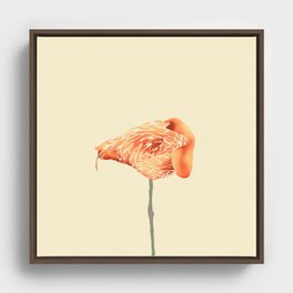 Nestled Flamingo Framed Canvas