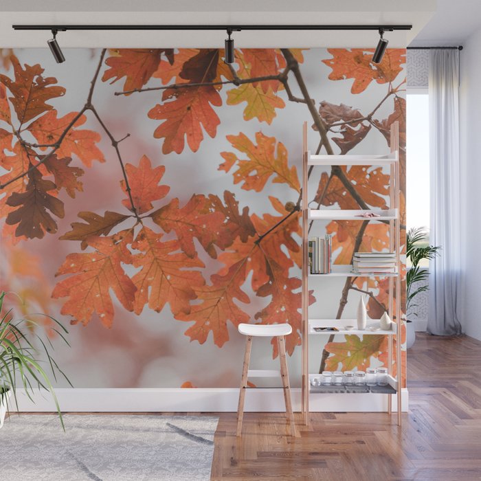 Autumn Canopy Wall Mural