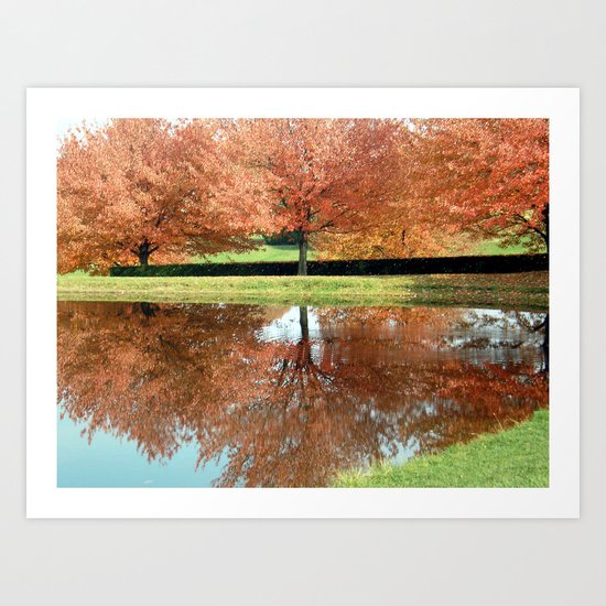 Reflection Art Print