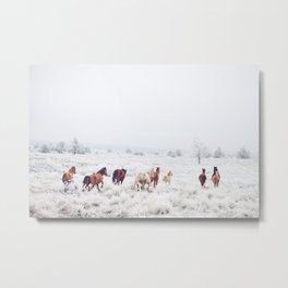 Winter Horses Metal Print