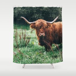  Scottish Highland Cow Print - Scottish Highland Photo - Animal Wall Art - Nature Photography Shower Curtain