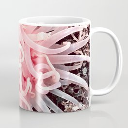 Anemone Flower Coffee Mug
