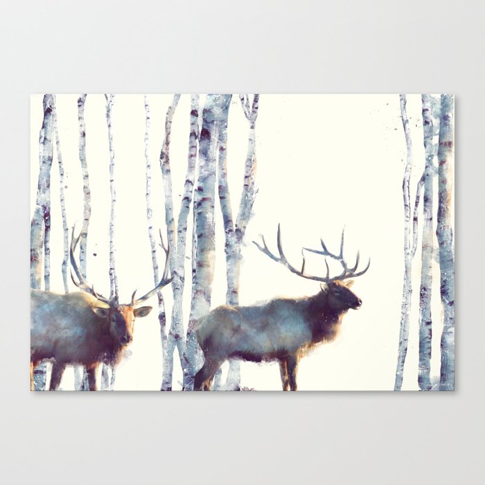 Elk // Follow Canvas Print