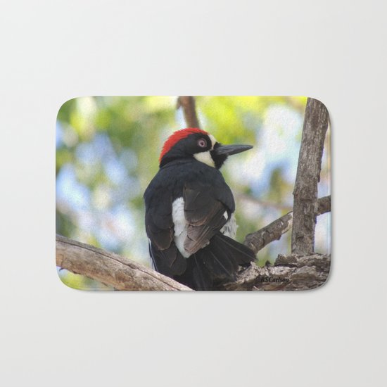Acorn Woodpecker in Malibu Bath Mat