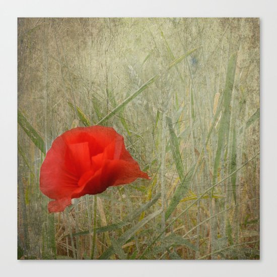 Standing out Canvas Print