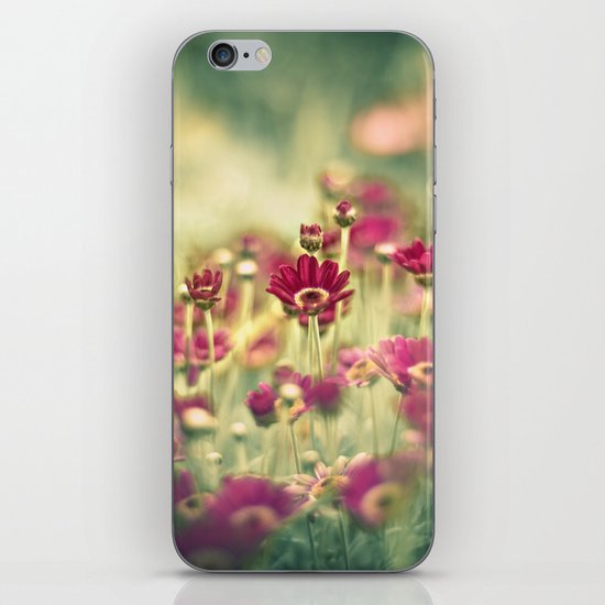 We Grew for You iPhone & iPod Skin