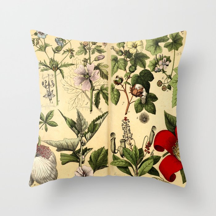 Natural History of the Plant Kingdom 035 Throw Pillow by ...