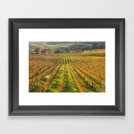 Wine Country Framed Art Print