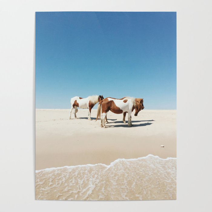 Summer Shore Horses Poster