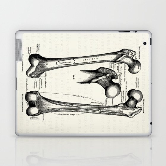 Vintage Anatomy Osteology The Human Femur Laptop & iPad Skin