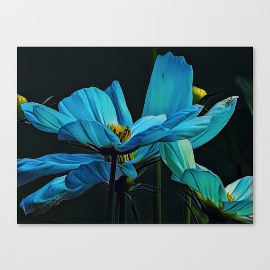 Cool Blue Comos Canvas Print