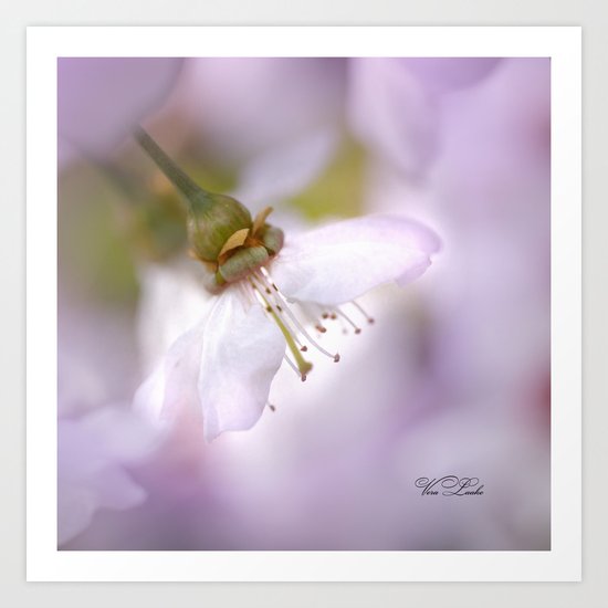 magic of spring Art Print