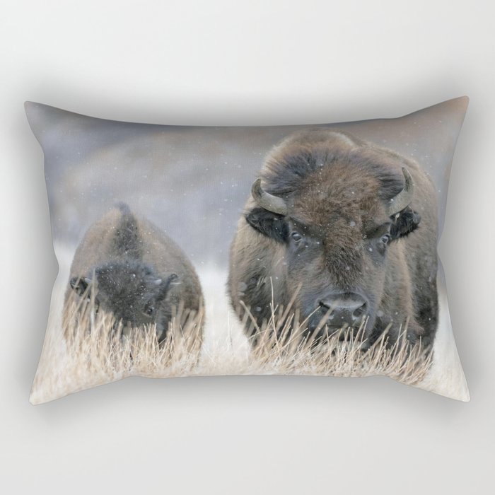 bison pillow pet