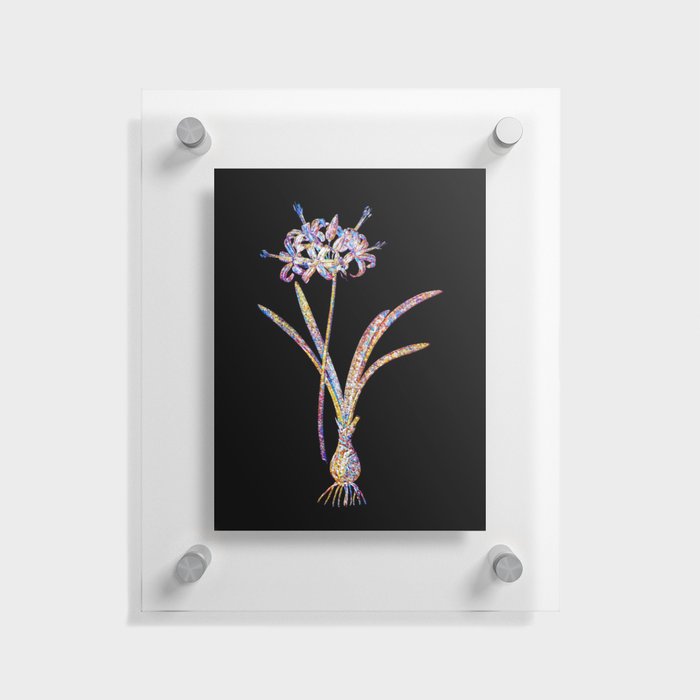 Floral Guernsey Lily Mosaic on Black Floating Acrylic Print