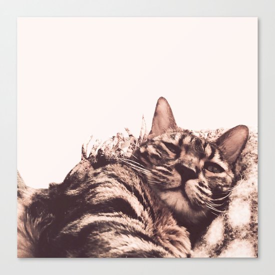 morning? Canvas Print