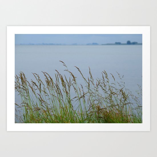 Grass Art Print