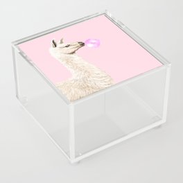 Playful Llama Chewing Bubble Gum in Pink Acrylic Box