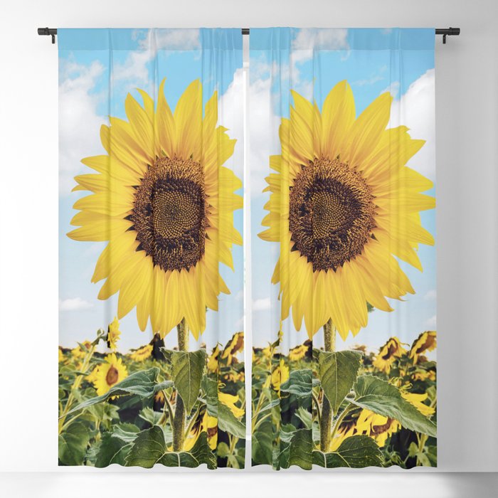 Blackout Curtain