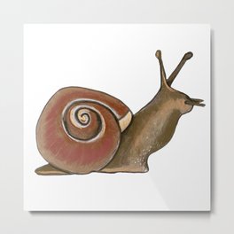 Garden Snail Metal Print
