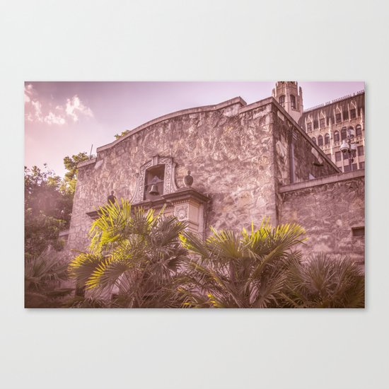 Palm Tree Summer - The Alamo Canvas Print