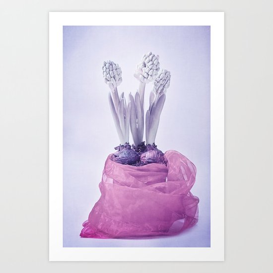 HYACINTH STILL LIFE Art Print
