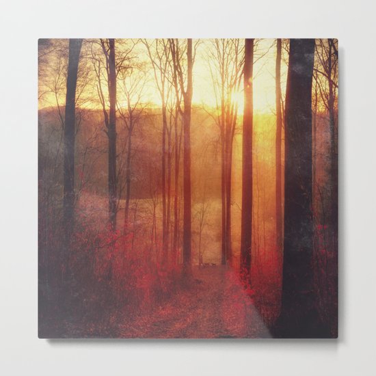 scarlet haze Metal Print