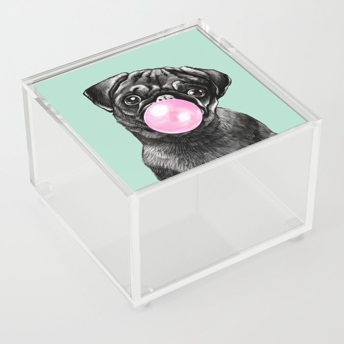 Bubble Gum Black Pug in Green Acrylic Box