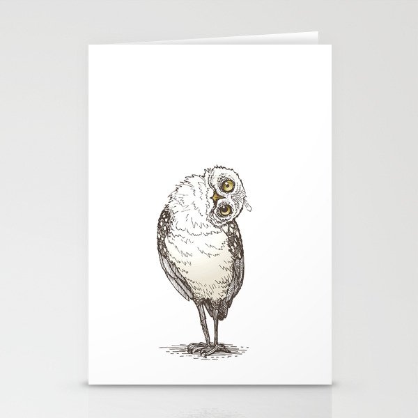 Owl Witness Stationery Cards