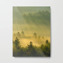 golden fog forest II Metal Print | Fog, Sunray, Sunshine, Nature, Green, Gold, Digital, Trees, Mist, Color 
