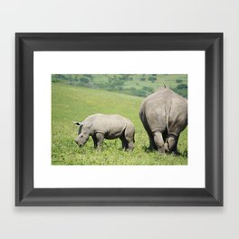 Rhino & Baby in South Africa Framed Art Print