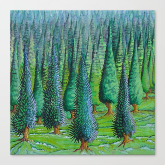 evergreen forest Canvas Print