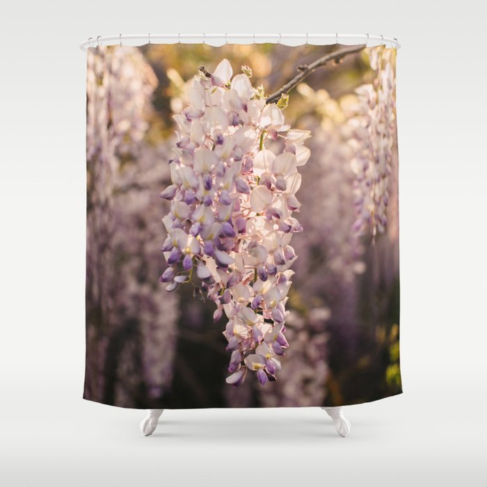 Wisteria in Full Bloom Shower Curtain