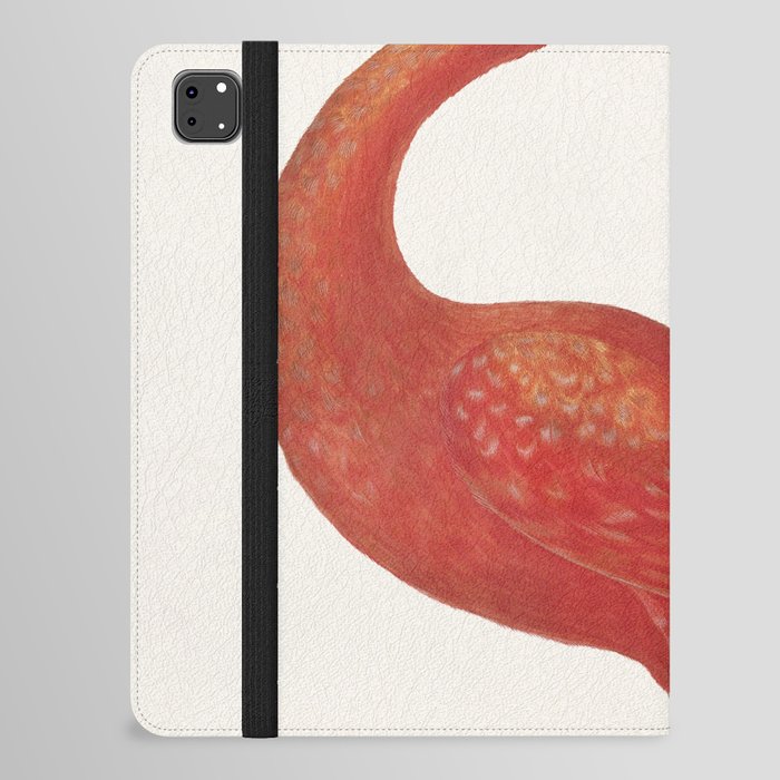 Scarlet Ibis with an Egg iPad Folio Case