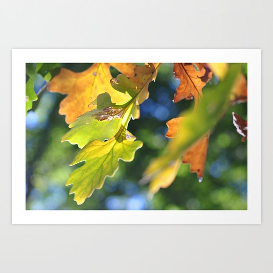 Autumn Breeze Art Print
