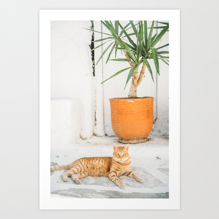 Ginger Cat in Greece - Mykonos Street Travel Photography Art Print