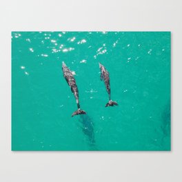 Isla Mujeres, Freedom (Dolphins) Canvas Print