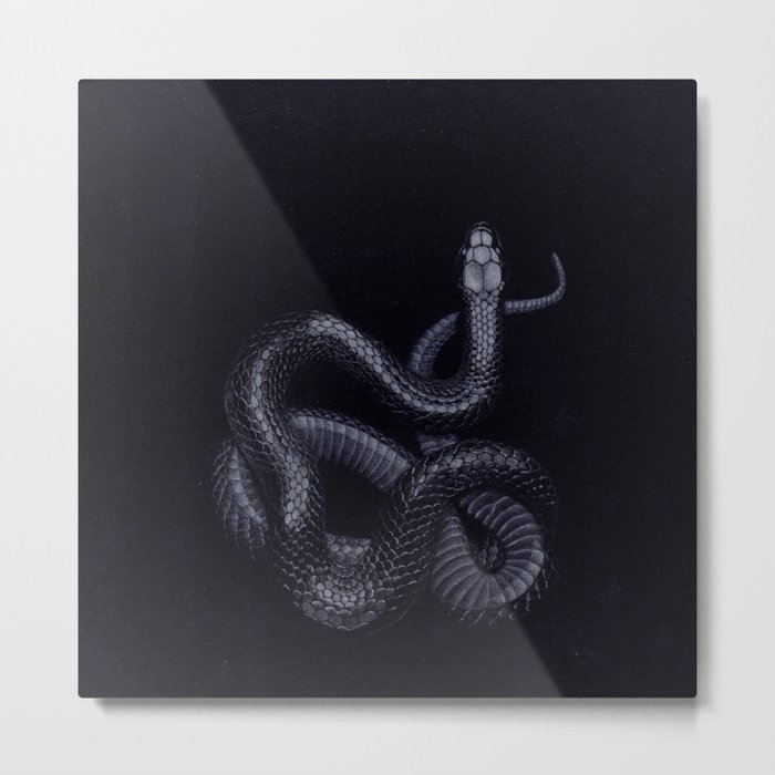 Snake in darkness Metal Print