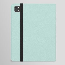 Bath Salt Green iPad Folio Case