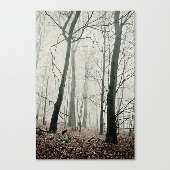 bare trees in fog Canvas Print