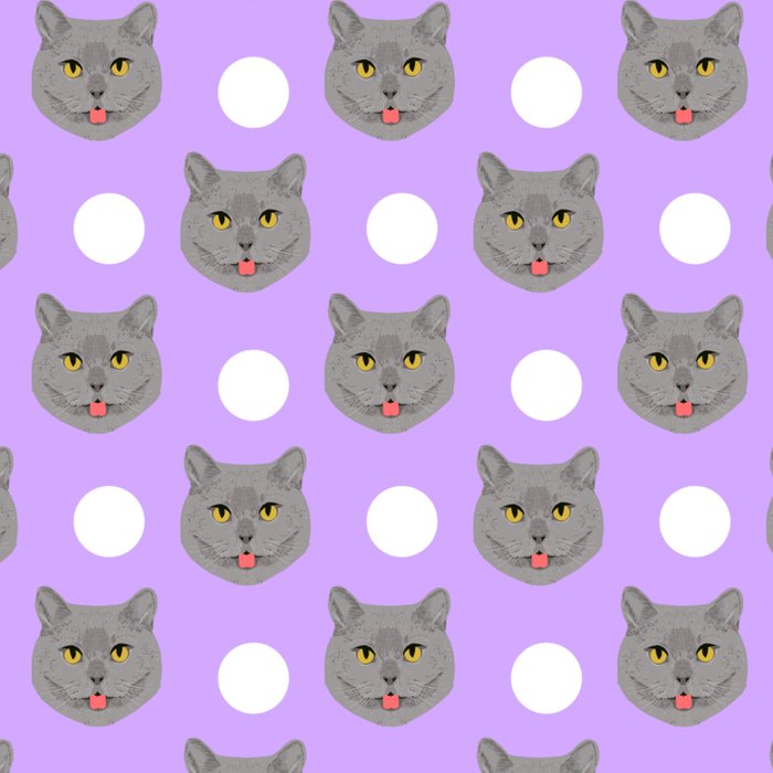 kai british shorthair cat gifts for cat lovers and cat lady gifts