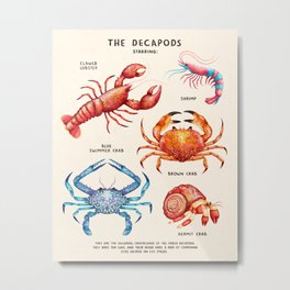 THE DECAPODS Metal Print | Crab, Sealife, Marine, Underwater, Seacreatures, Fish, Shrimp, Ocean, Lobster, Sea 