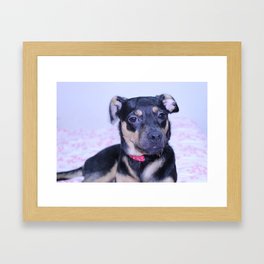 doggo Framed Art Print